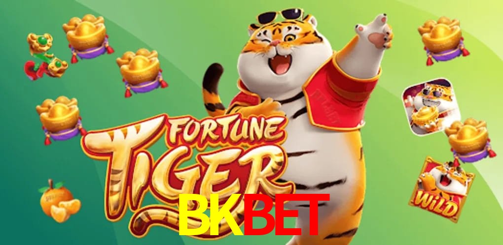 Experiência VIP BKBET